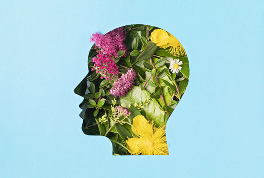 Essential Oils and Cognitive Function - diannesessentialoilscoaching