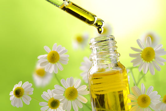 What Is Aromatherapy? The Dividing Lines Between Feel-Good and Medicine - diannesessentialoilscoaching