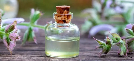 Top 3 Essential Oils to Balance Hormones Naturally - diannesessentialoilscoaching