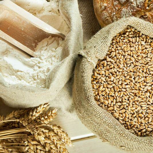 Why is Gluten Bad? The Shocking Dangers of Today’s Gluten - diannesessentialoilscoaching