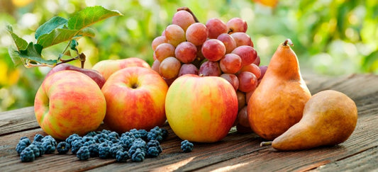 Top Fall Fruits + Their Benefits